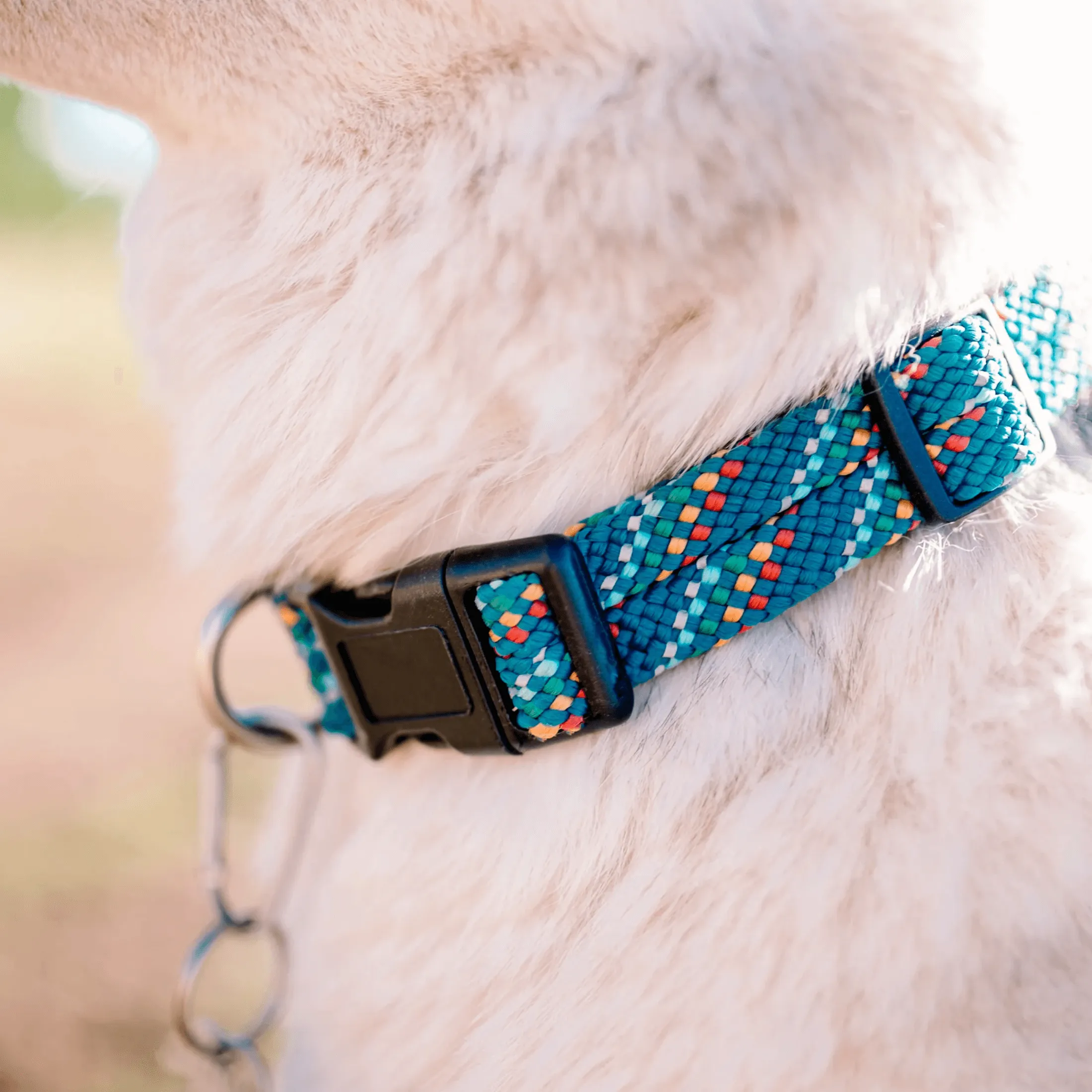 Pacific Blue Reflective Rope Collar