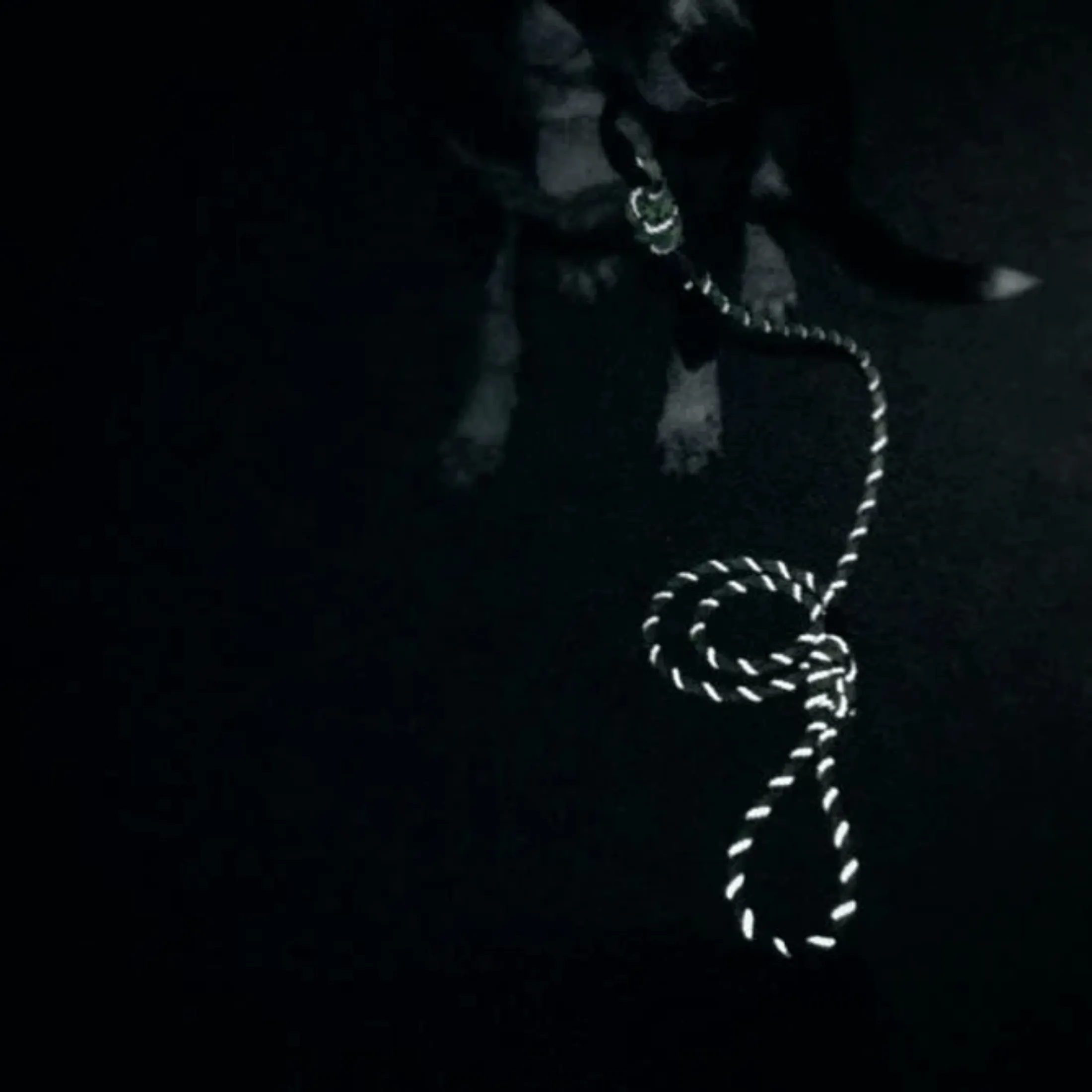 Pacific Blue Reflective Rope Collar