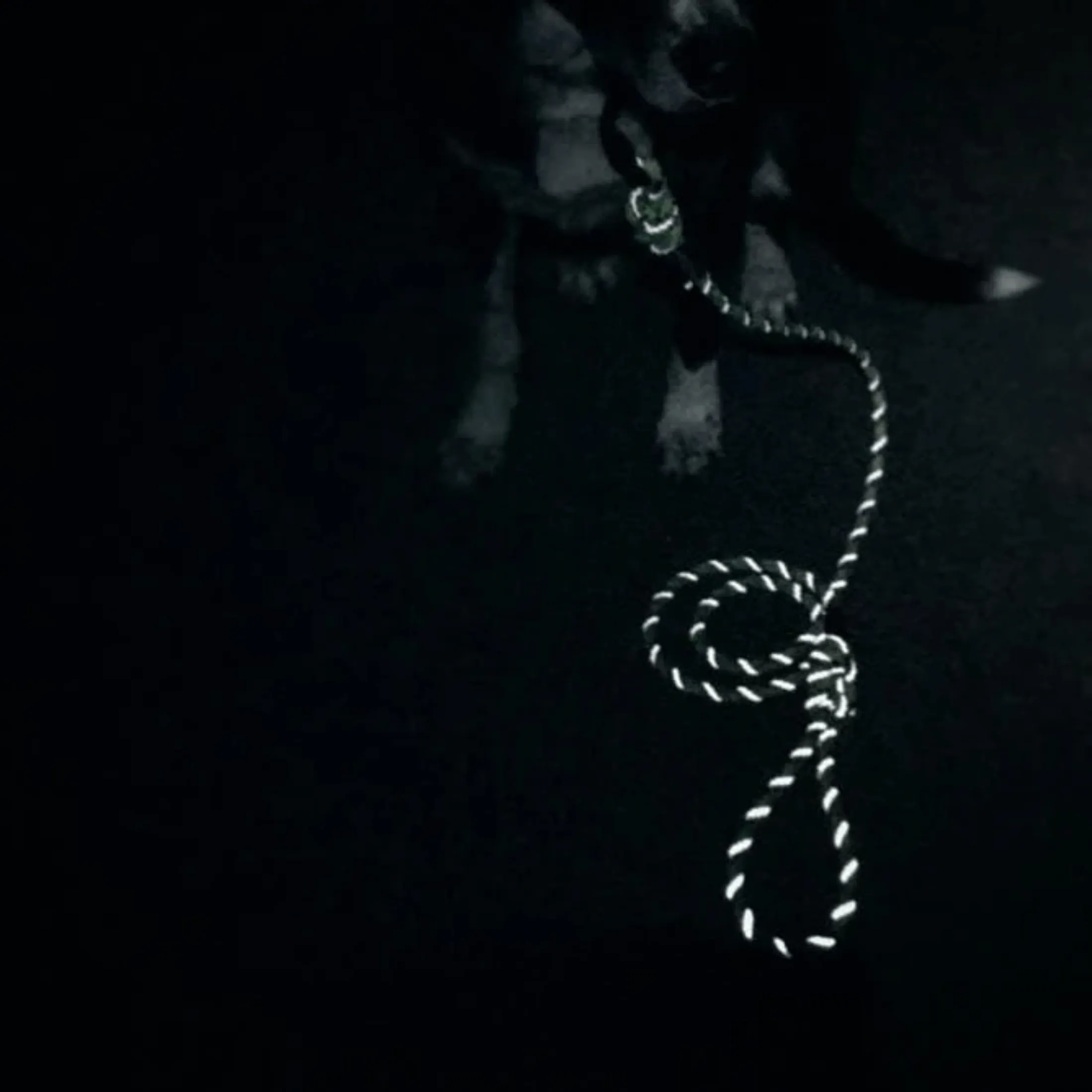 Razzleberry Reflective Rope Leash